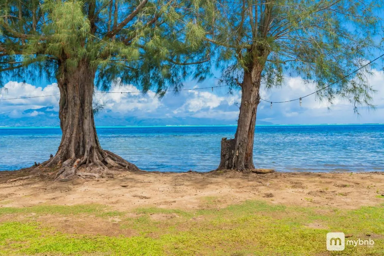The Sun Beach House In Moorea 0*, Maatea