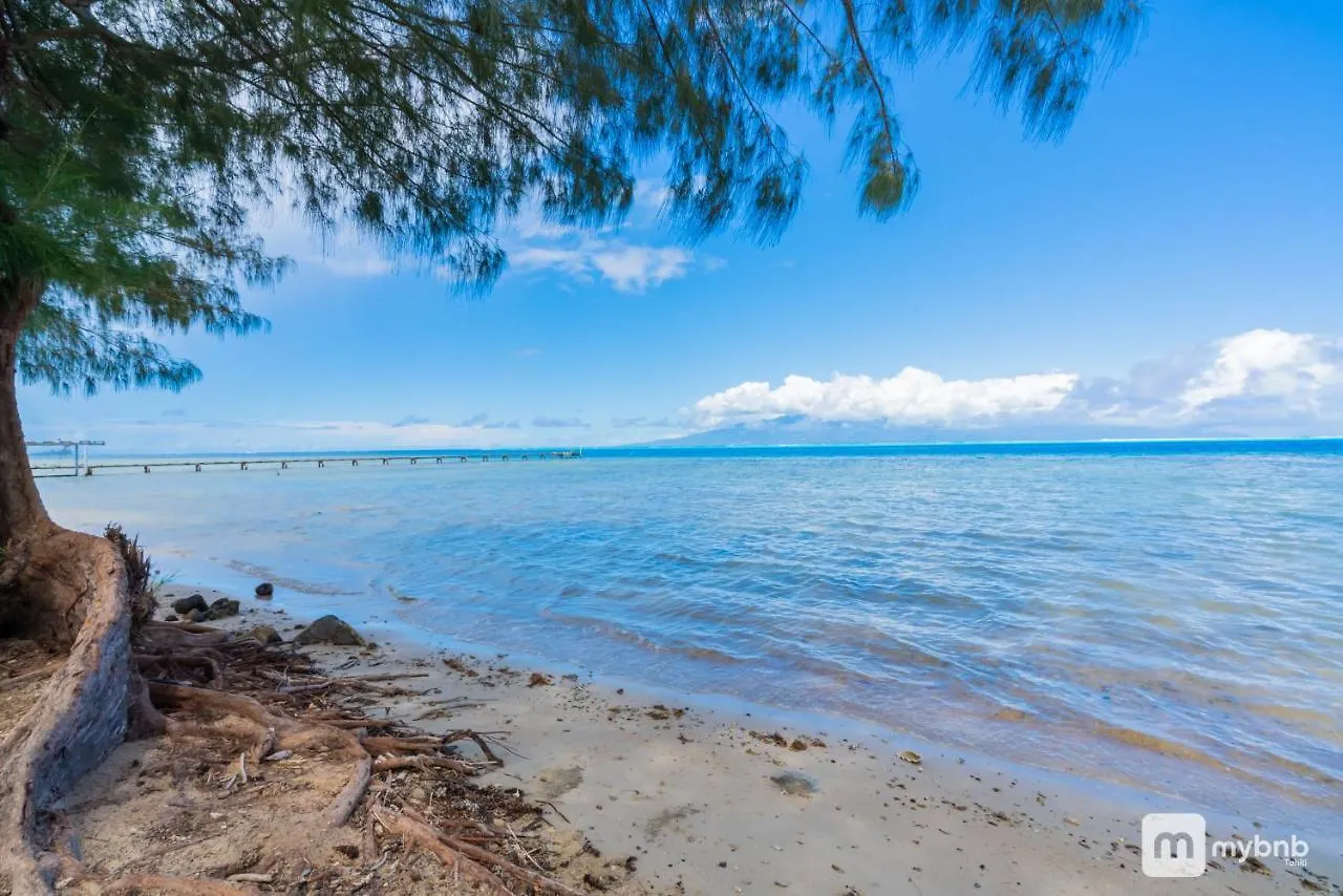 The Sun Beach House In Moorea Maatea